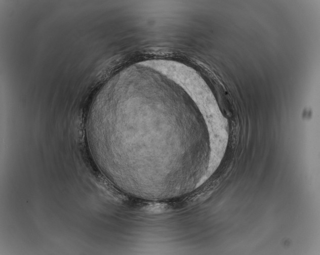 X0000094350609200711301403