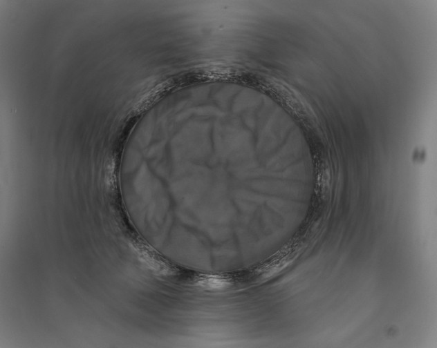 X0000094350610200711301403