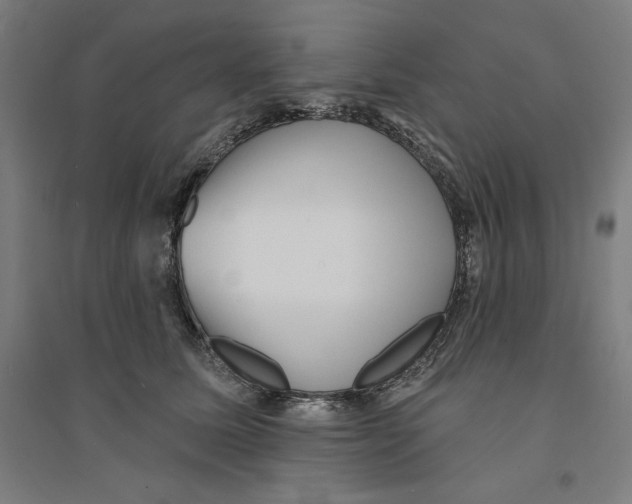 X0000094350611200711301403
