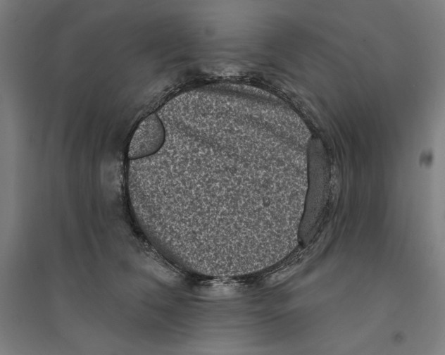 X0000094350612200711301403