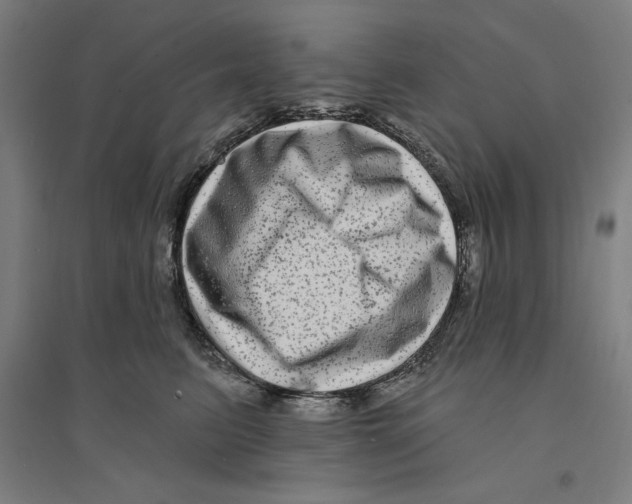 X0000094350615200711301403