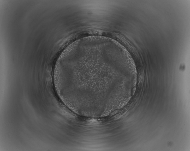 X0000094350616200711301403