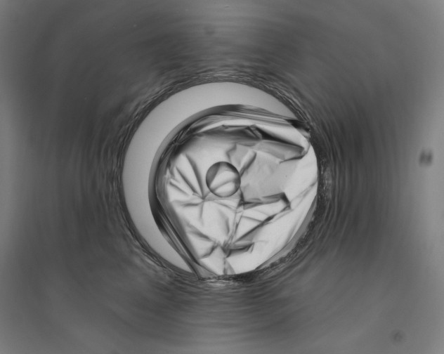 X0000094350617200711301403