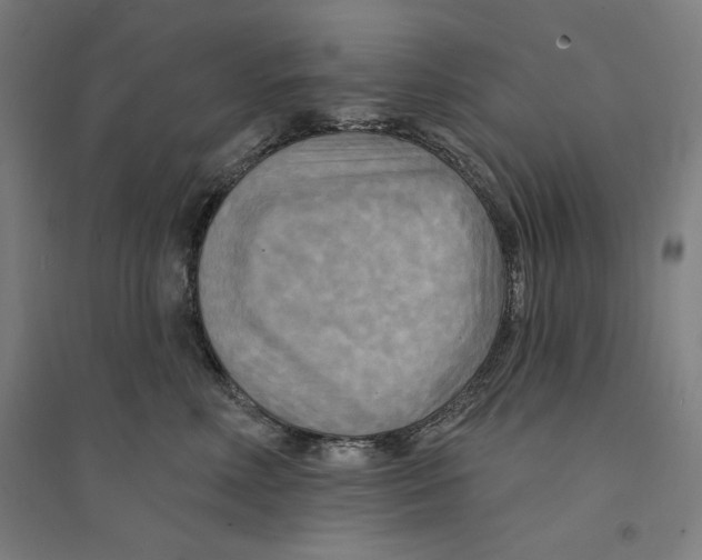 X0000094350618200711301403