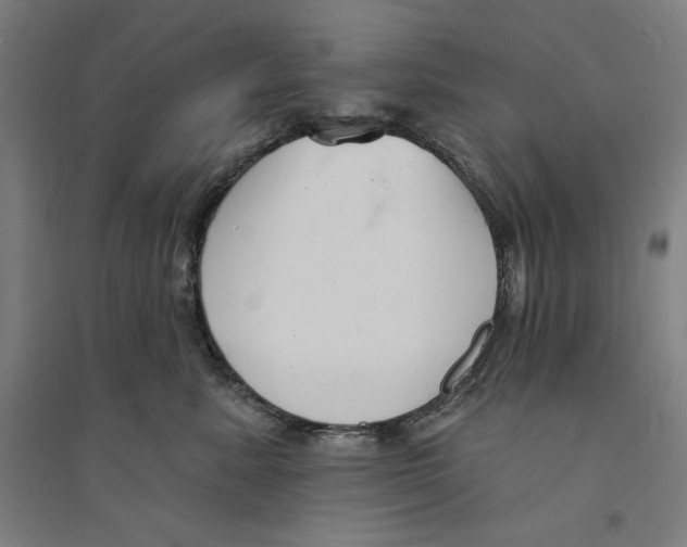 X0000094350619200711301403