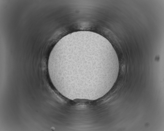 X0000094350620200711301403