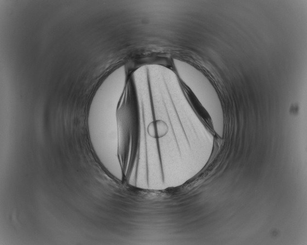 X0000094350621200711301403