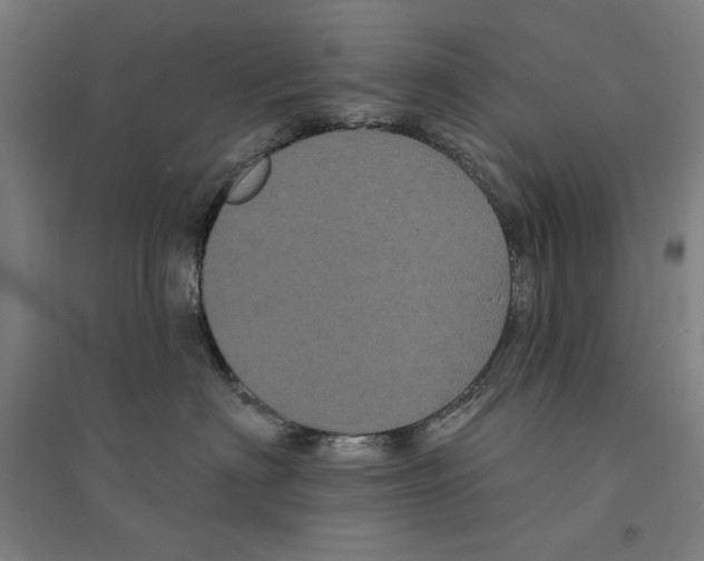 X0000094350622200711301403