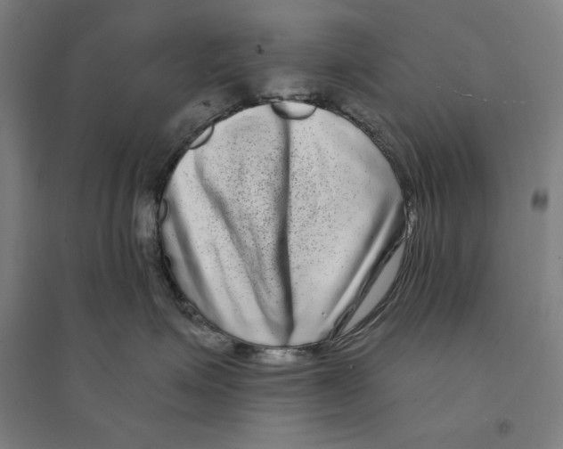 X0000094350623200711301403