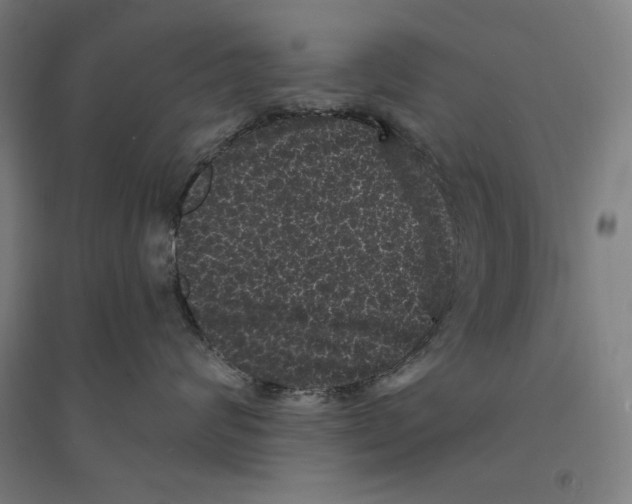 X0000094350624200711301403