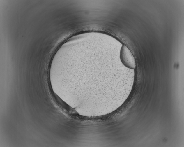 X0000094350625200711301402