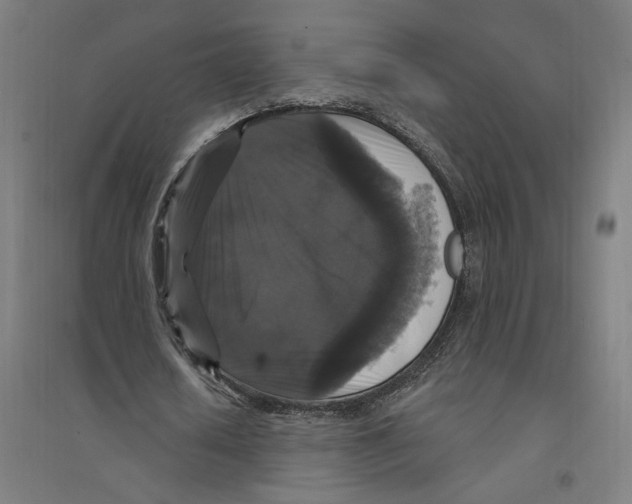 X0000094350626200711301402