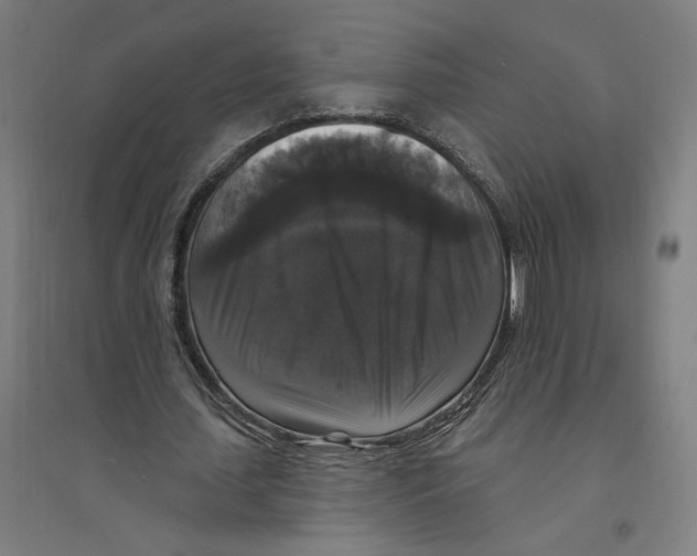 X0000094350627200711301402