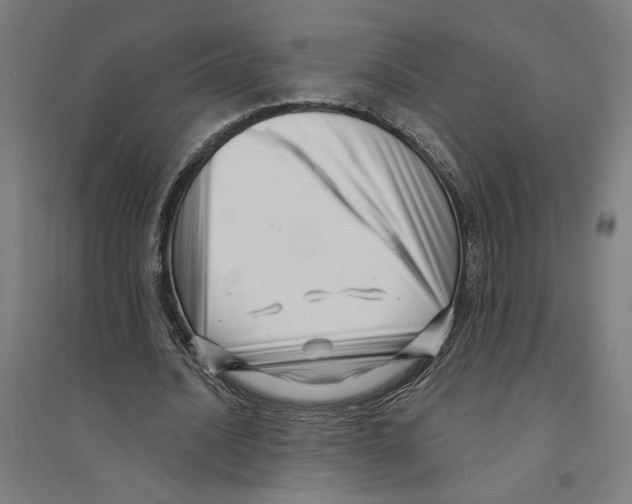 X0000094350628200711301402