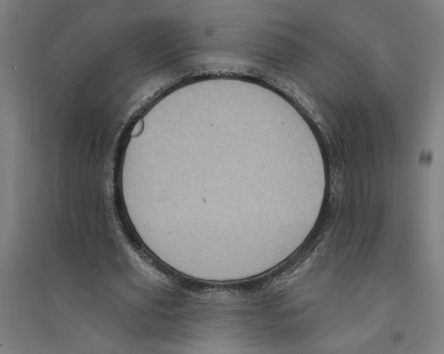 X0000094350629200711301402