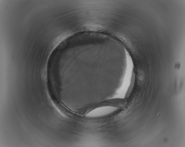 X0000094350630200711301402