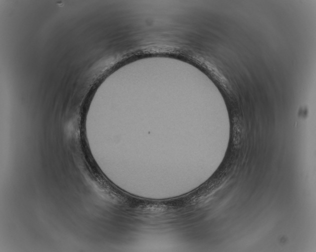 X0000094350631200711301402