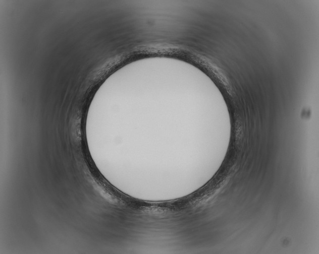 X0000094350633200711301402