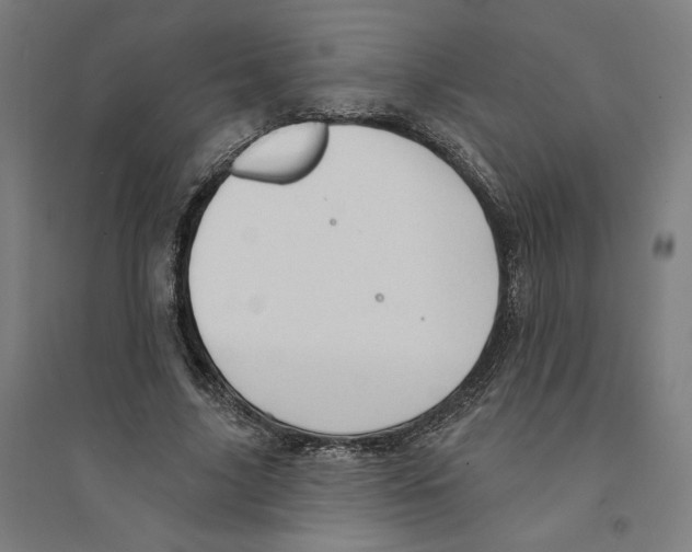 X0000094350635200711301402