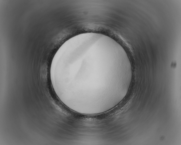 X0000094350637200711301402