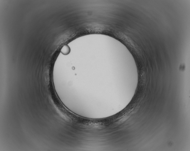 X0000094350638200711301402