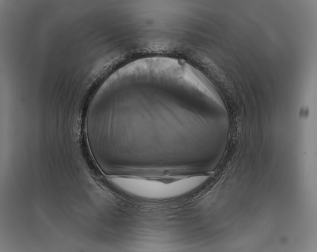 X0000094350640200711301402