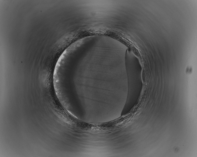 X0000094350641200711301402