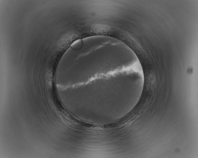 X0000094350644200711301402