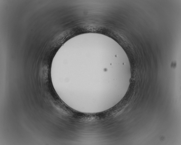 X0000094350646200711301403