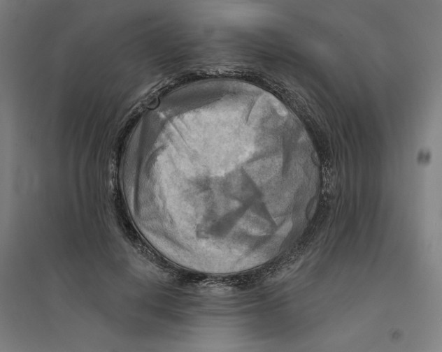 X0000094350648200711301403