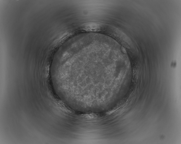 X0000094350652200711301403
