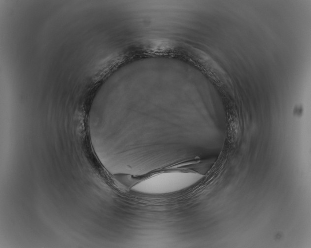 X0000094350654200711301403