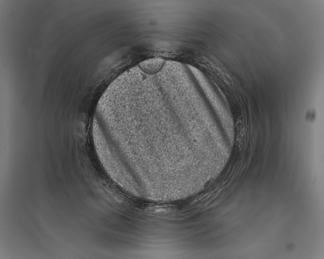 X0000094350655200711301403