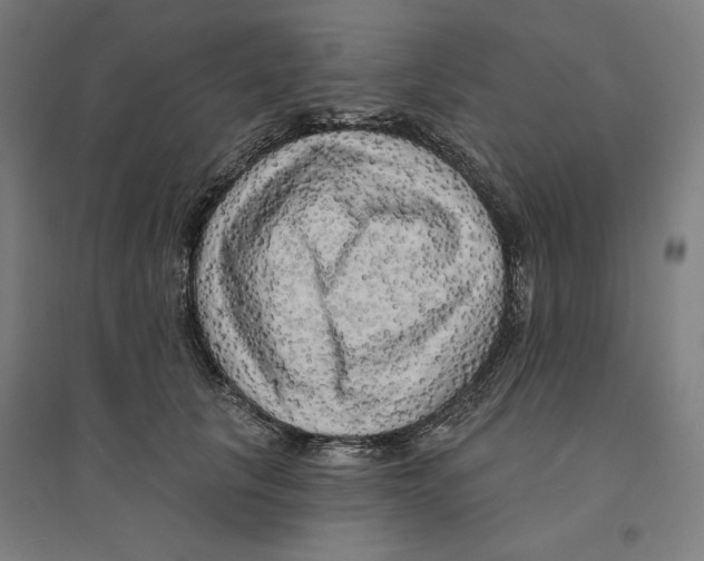 X0000094350657200711301403