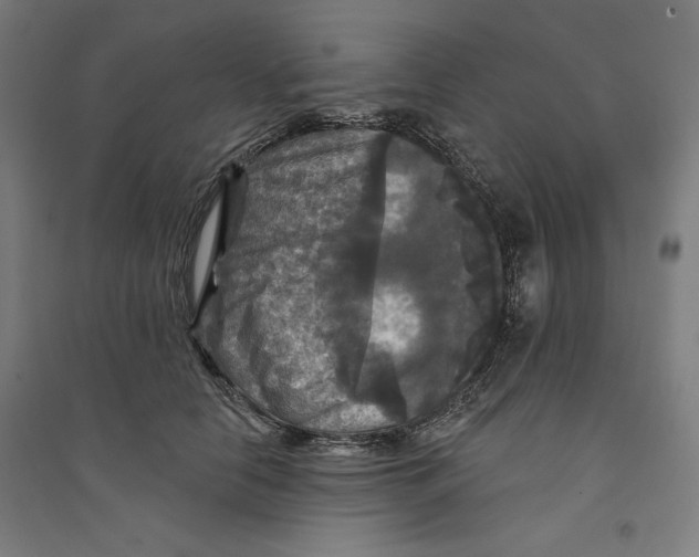 X0000094350658200711301403