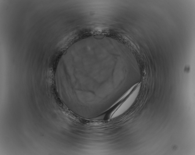 X0000094350659200711301403
