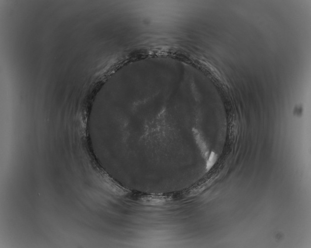 X0000094350661200711301403