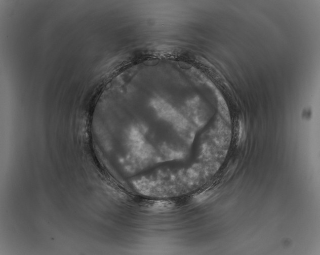 X0000094350663200711301403