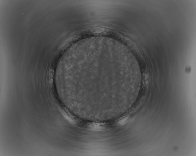 X0000094350664200711301403