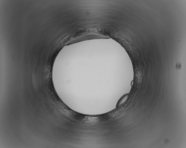 X0000094350665200711301403