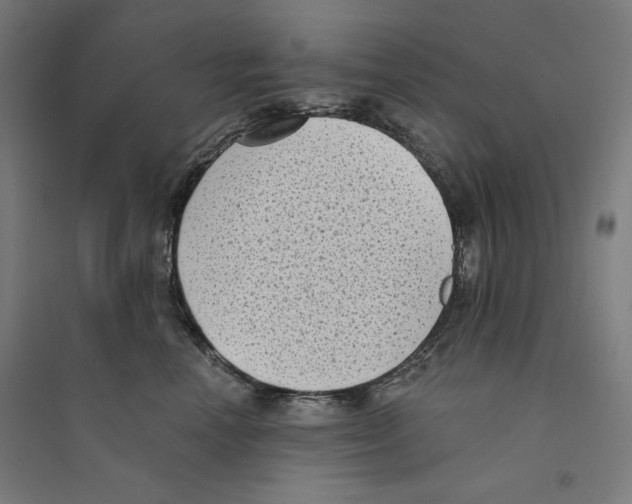 X0000094350666200711301403
