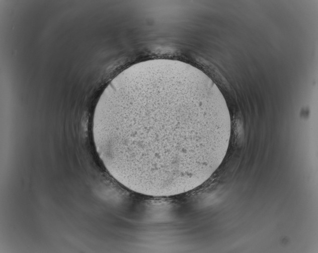 X0000094350668200711301403