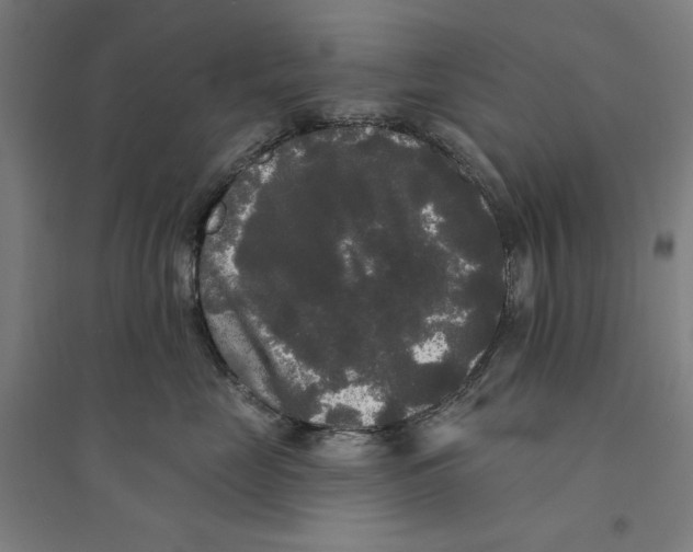 X0000094350669200711301403