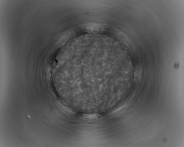 X0000094350671200711301403