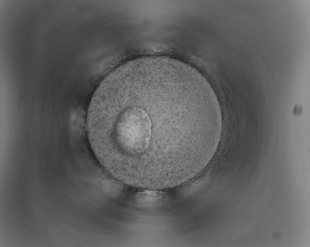 X0000094350672200711301403