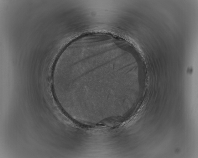 X0000094350673200711301402