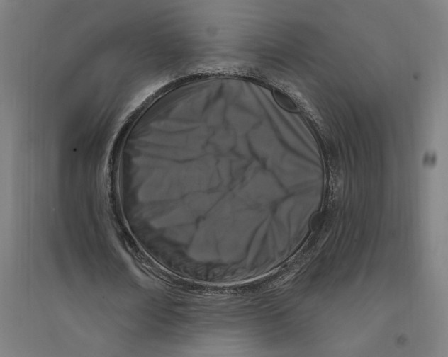 X0000094350674200711301402