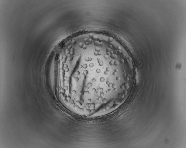 X0000094350675200711301402