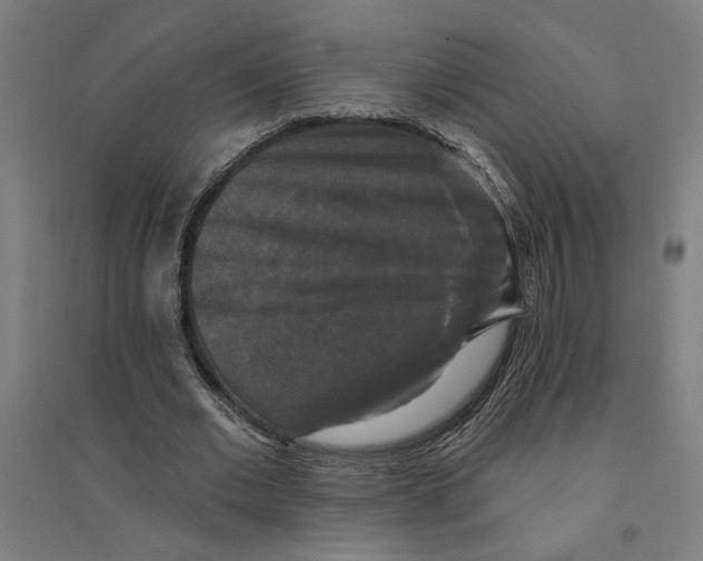 X0000094350677200711301402