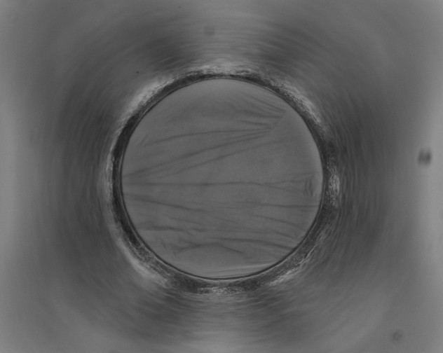 X0000094350678200711301402